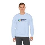 Large Colour Logo Crewneck Sweatshirt (6 colours)